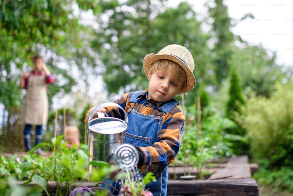 Piccolo ragazzo che innaffia le verdure in fattoria, giardinaggio e coltivazione di verdure biologiche.