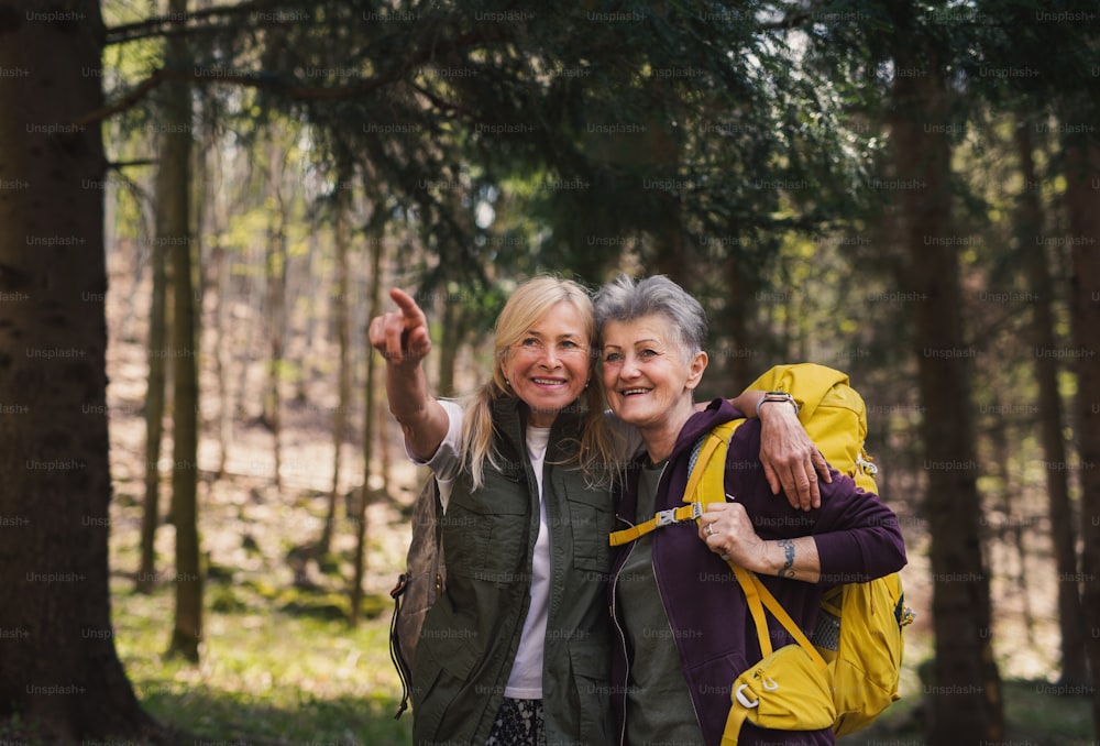 Happy senior women hikers outdoors walking in forest in nature, talking.