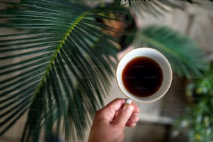 Top view of female hand holding cup of coffee, a green background with houseplants.
