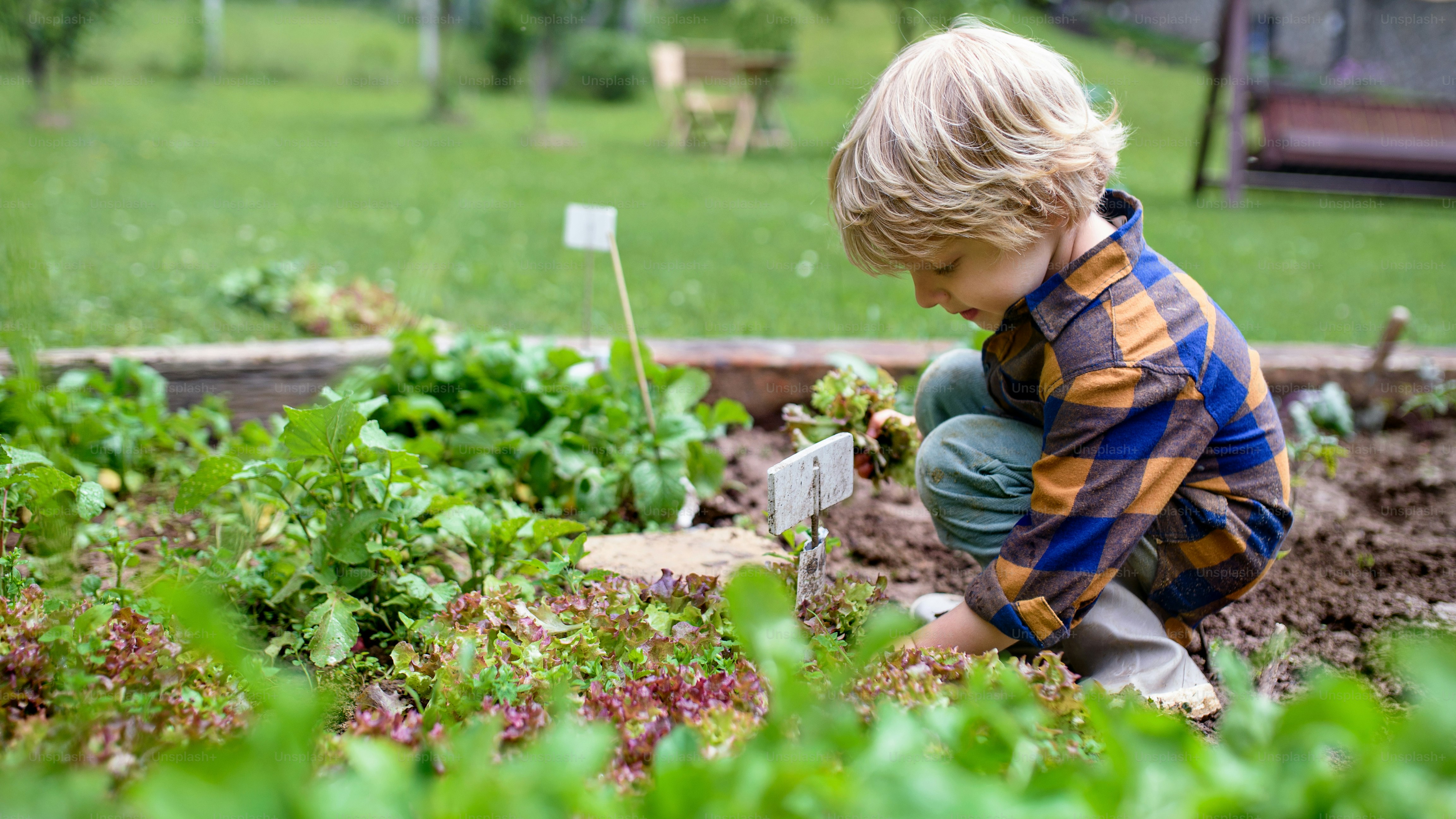Happy small boy working in vegetable garden, sustainable lifestyle