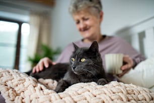 집에서 침대에서 쉬고 있는 고양이와 함께 행복한 노인 여성의 Portriat.