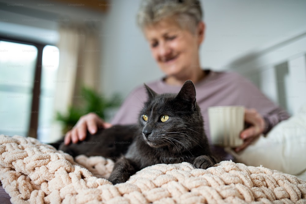 Portriat di donna anziana felice con gatto che riposa a letto a casa.