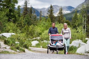 Senior couple and children in jogging stroller, summer day. High mountains in the background.
