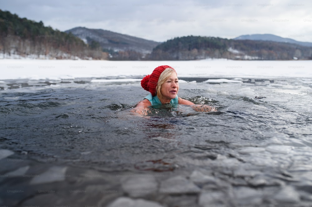 A front view of active senior woman swimming outdoors in water in winter, cold therapy concept.