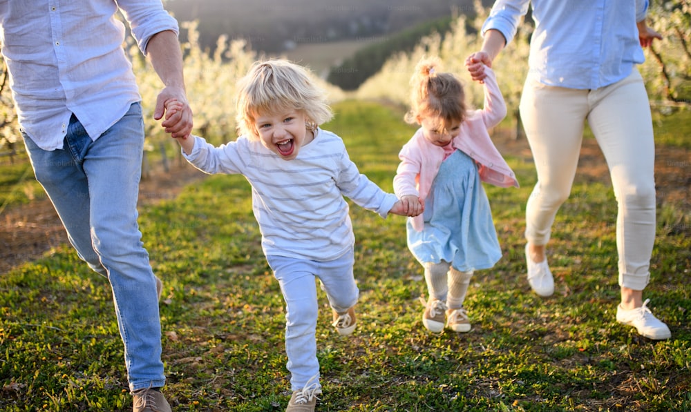Vorderansicht der Familie mit zwei kleinen Kindern, die im Frühling im Obstgarten im Freien laufen.
