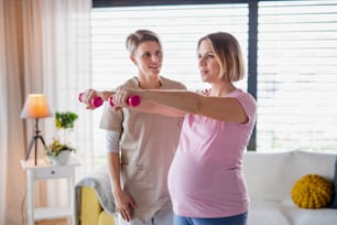 A physiotherapist and pregnant woman doing exercise with dumbbells at home.