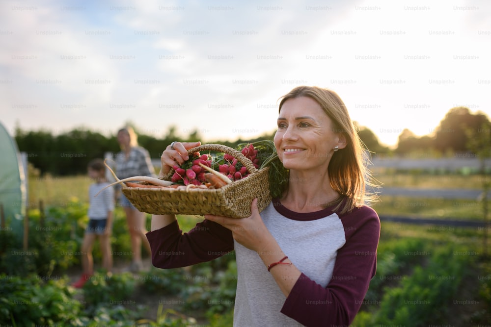 Contadina adulta media che trasporta un cesto con verdure coltivate in casa all'aperto in una fattoria comunitaria.