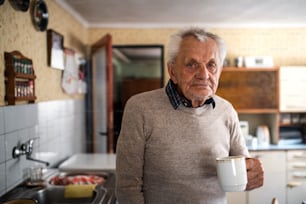 A portrait of elderly man with cup of tea standing indoors at home, looking at camera.