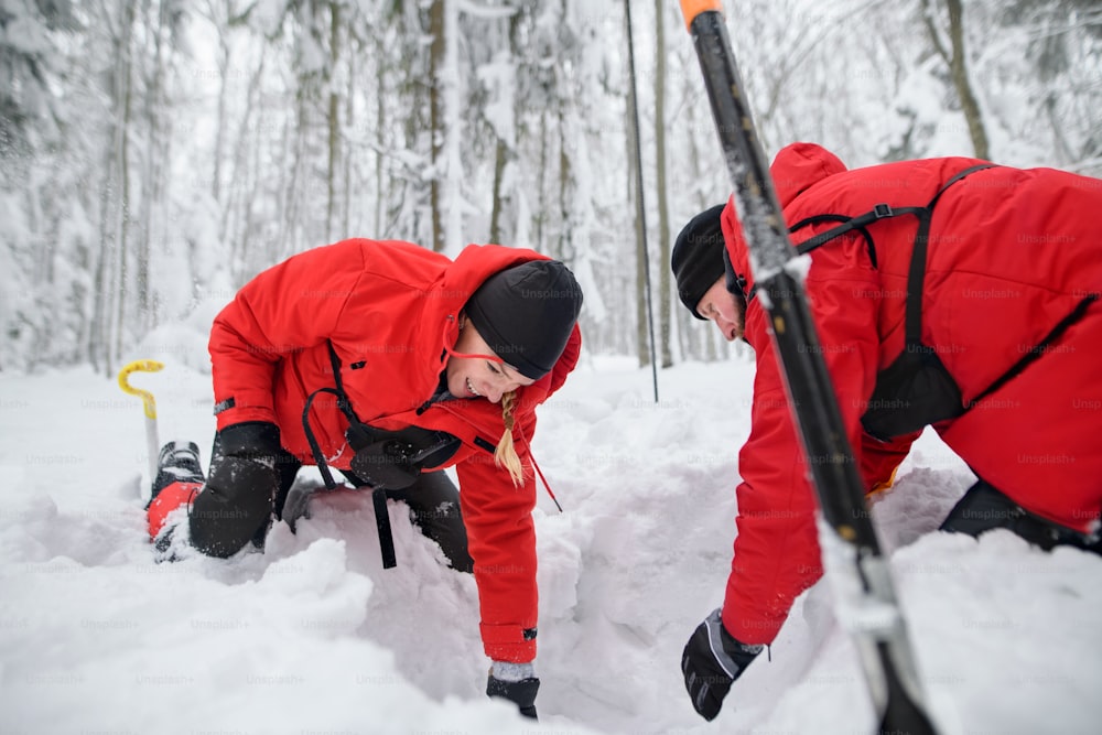 Mountain rescue service on operation outdoors in winter in forest, digging snow with shovels. Avalanche concept.