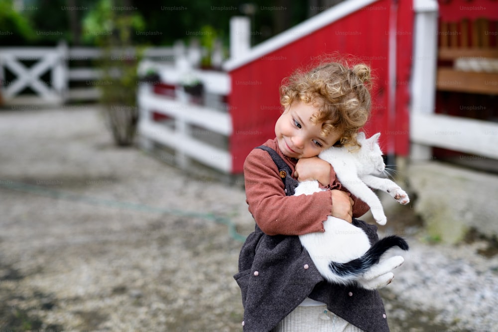 Portrait of small girl with cat standing on farm, playing.