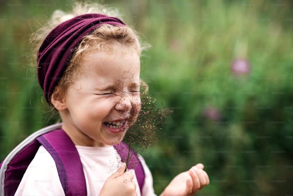 Portrait of happy small toddler girl outdoors in summer nature, tickling face with grass.