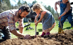 Mature father with small children working outdoors in garden, sustainable lifestyle concept.