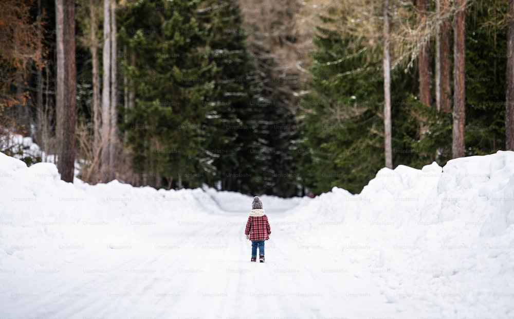 Rear view of small girl walking on road in winter nature. Copy space.
