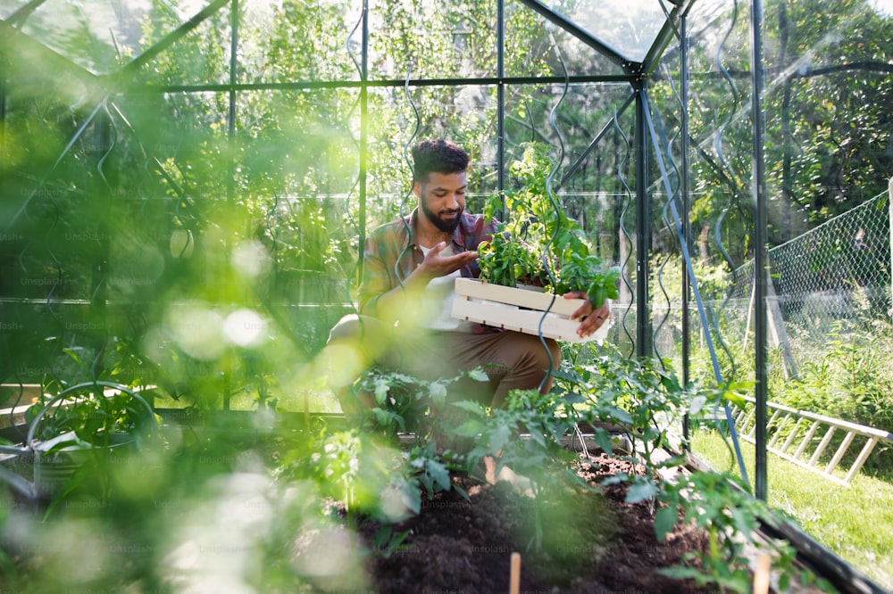 Retrato de un joven feliz que trabaja al aire libre en el patio trasero, la jardinería y el concepto de invernadero.
