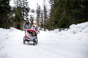 Father and mother with two small children sitting in trailer, walking in snow in winter nature.