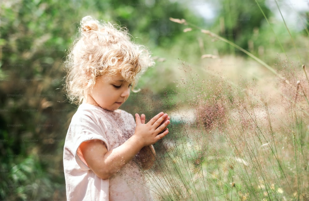 Retrato de vista lateral de una niña pequeña al aire libre en la naturaleza del verano, sosteniendo la hierba.