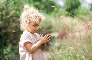 Side view portrait of small toddler girl outdoors in summer nature, holding grass.