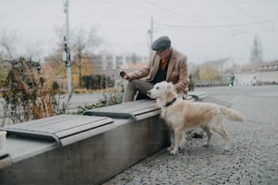 Un homme âgé heureux assis sur un banc et prenant un selfie avec son chien à l’extérieur en ville.