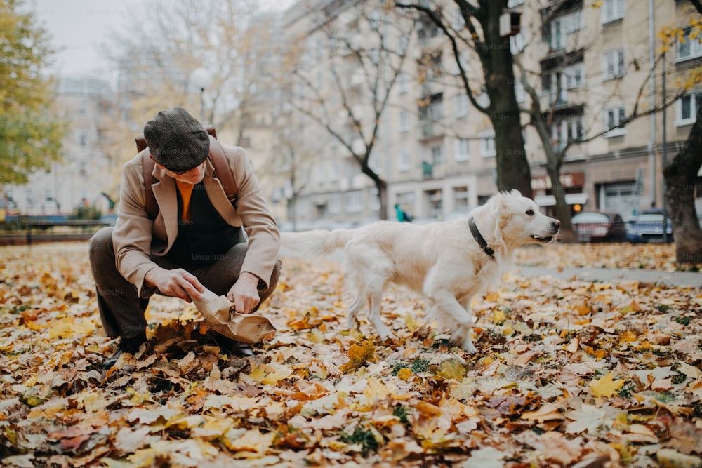 Un homme âgé nettoie les excréments de son chien à l’extérieur dans un parc un jour d’automne.