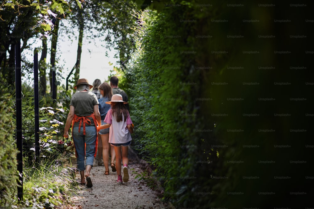 A rear view of happy young and old farmers or gardeners carrying their harvest outdoors at community farm.