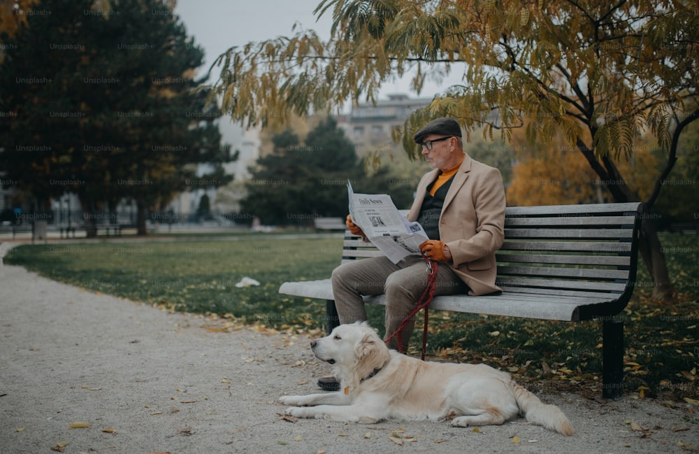 Un homme âgé heureux assis sur un banc et lisant le journal lors d’une promenade de chien à l’extérieur dans un parc de la ville.