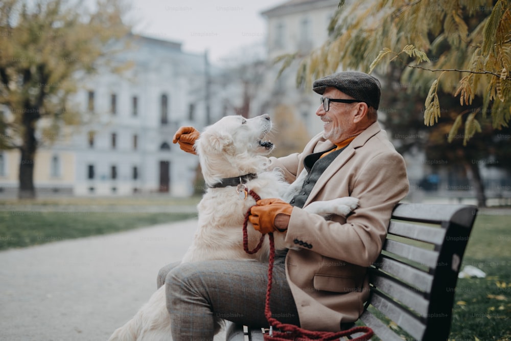 Un uomo anziano felice seduto su una panchina e che riposa durante una passeggiata con il cane all'aperto in città.