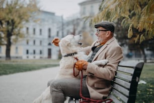 A happy senior man sitting on bench and resting during dog walk outdoors in city.