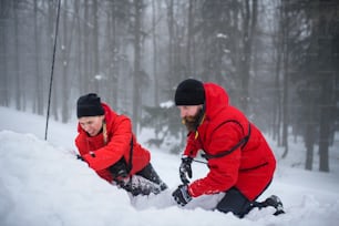 Bergrettung im Wintereinsatz im Wald, Schnee mit Schaufeln ausheben. Lawinenkonzept.