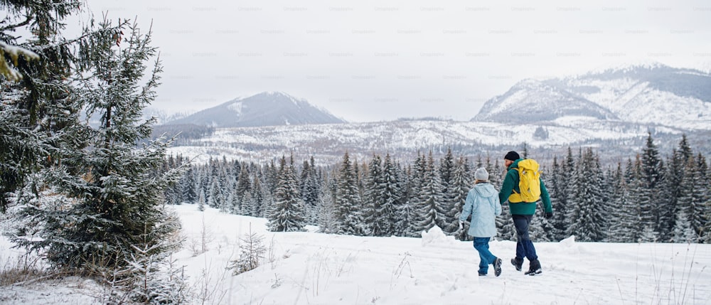 Rear view of a father with small daughter on a walk outdoors in winter nature, Tatra mountains Slovakia.