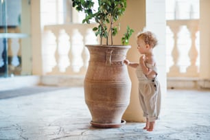 A side view of small toddler girl standing on tiptoes on summer holiday, looking at concrete flower pot.