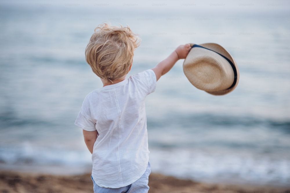 A rear view of small blond toddler boy with hat standing on beach on summer holiday.