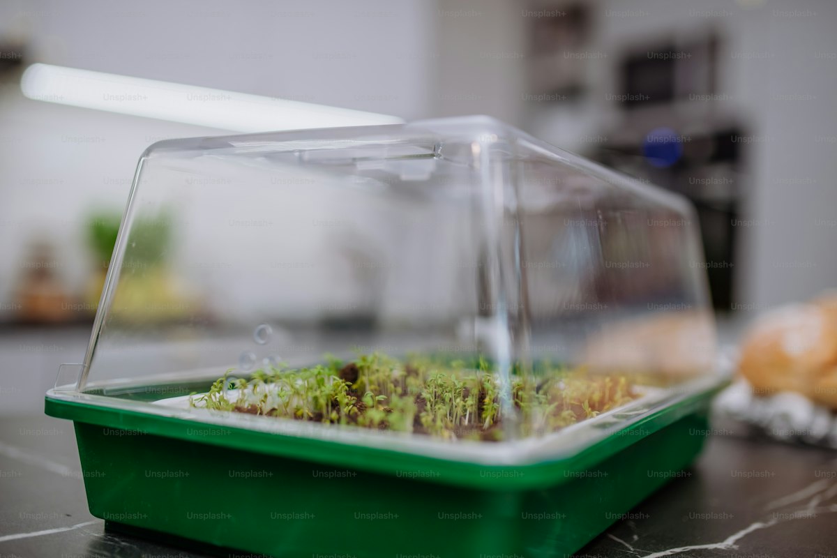 観葉植物用ヒートマットおすすめ比較｜冬越し・発根促進