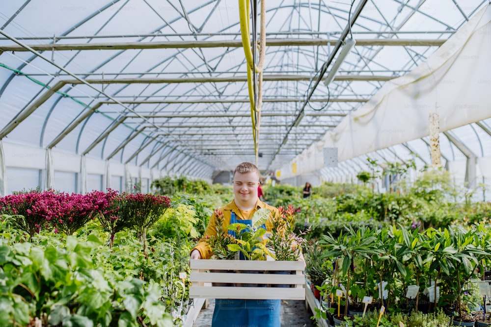 다운 증후군을 앓고있는 청년이 정원 센터에서 일하면서 식물이 담긴 상자를 들고 있습니다.