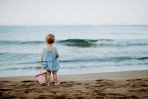 Una vista trasera de una niña pequeña de pie en la playa de arena en vacaciones de verano. Espacio de copia.