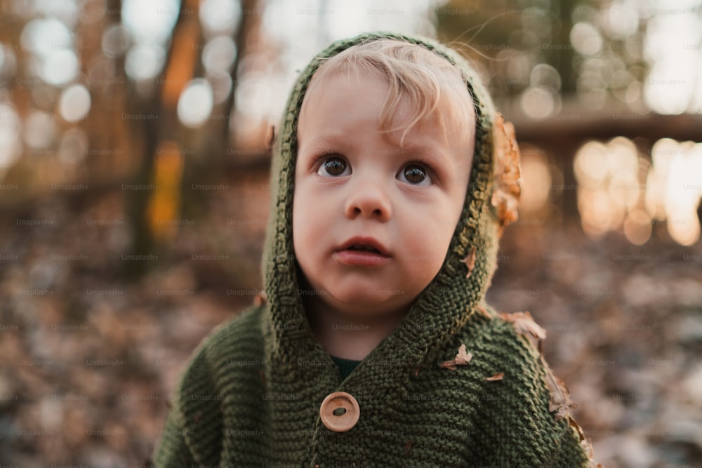 A close-up of cute little boy with knitted hoodie in forest, autumn concept.