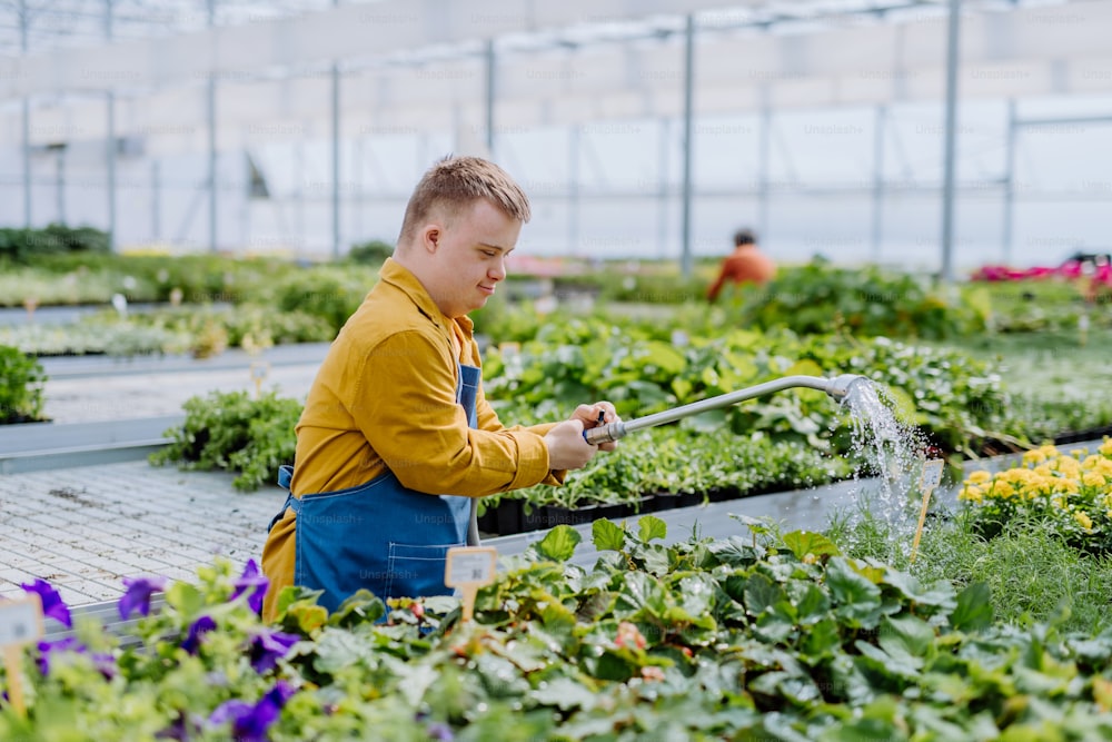 Un jeune employé heureux atteint du syndrome de Down travaillant dans une jardinerie, arrosant les plantes avec une pomme de douche et un tuyau.