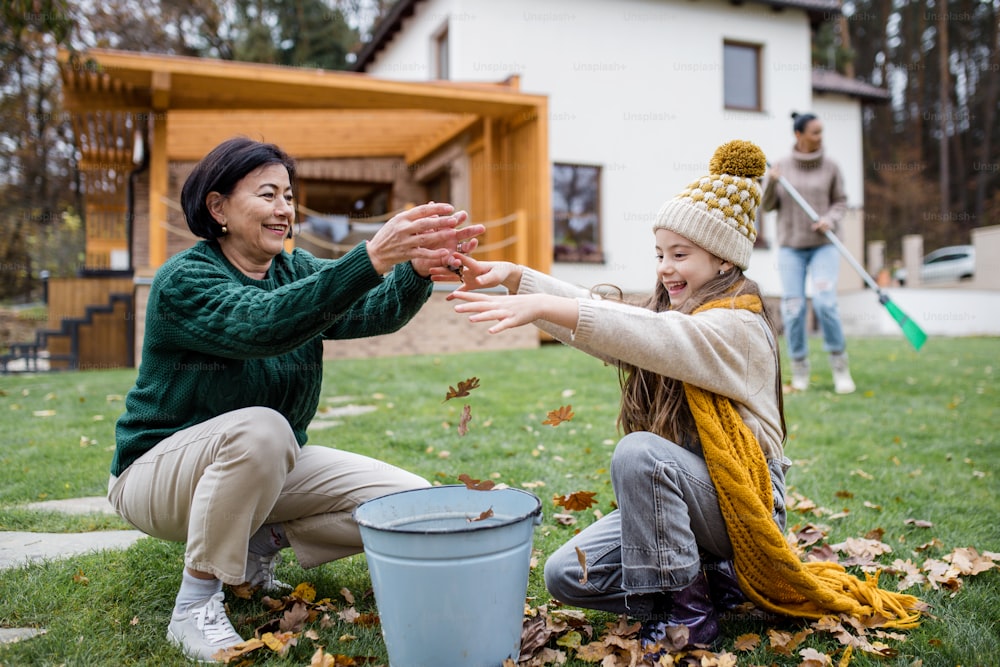 A happy little girl with grandmother picking up leaves and putting them in bucket in garden in autumn