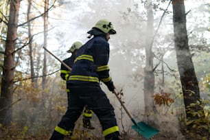 Firefighters men at action, running through the smoke with shovels to stop fire in forest.