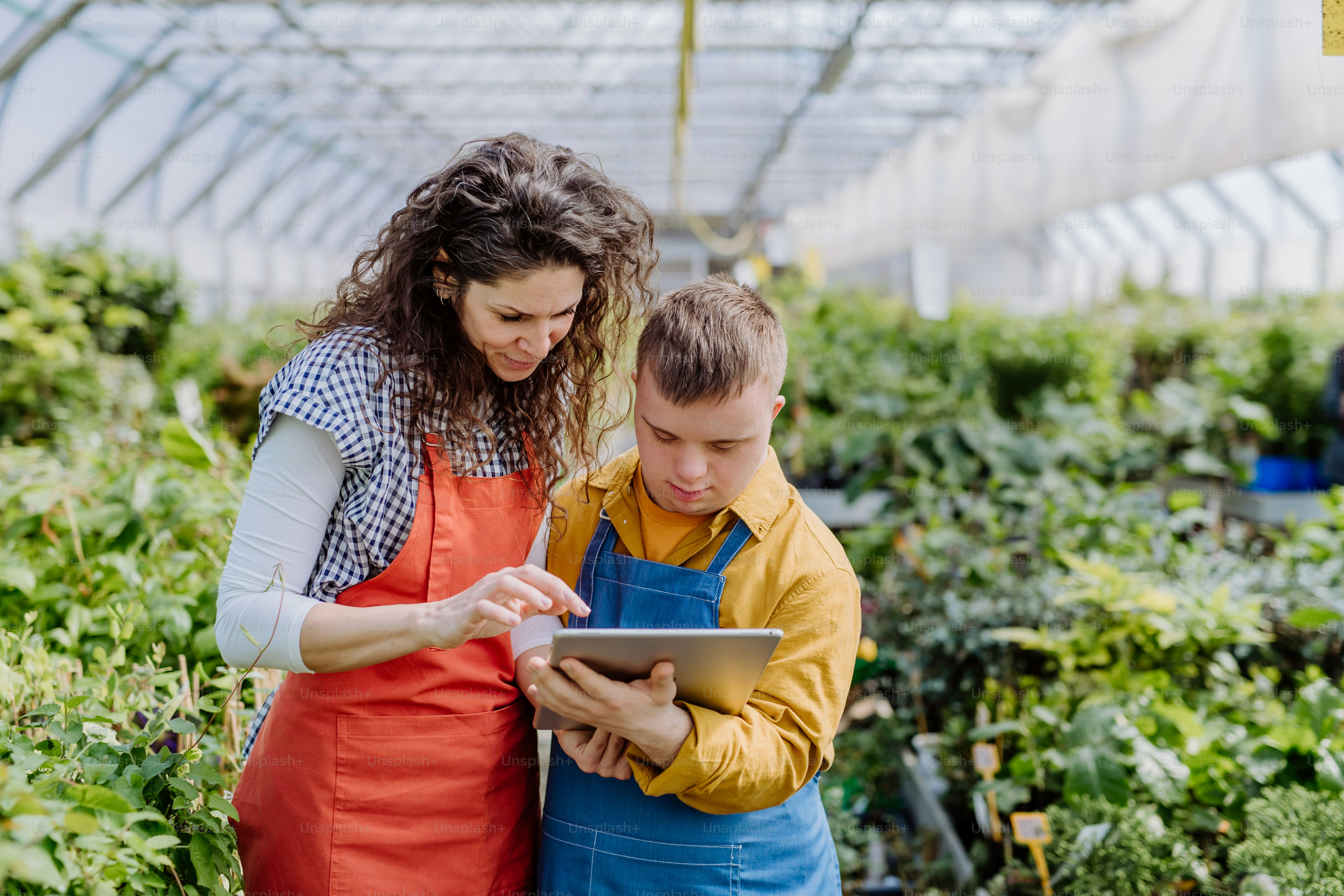 An experienced woman florist helping young employee with Down syndrome to check flowers on tablet in garden centre