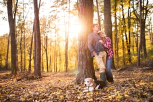 Casal sênior ativo com cachorro em um passeio em uma bela floresta de outono.