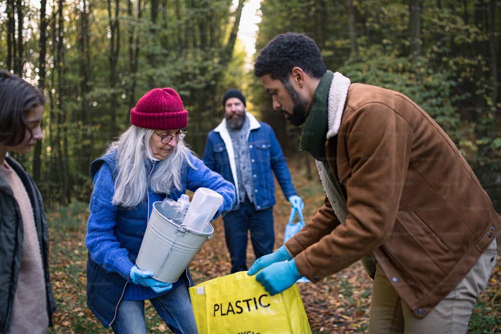 Un grupo diverso de voluntarios limpiando el bosque de desechos, concepto de servicio comunitario