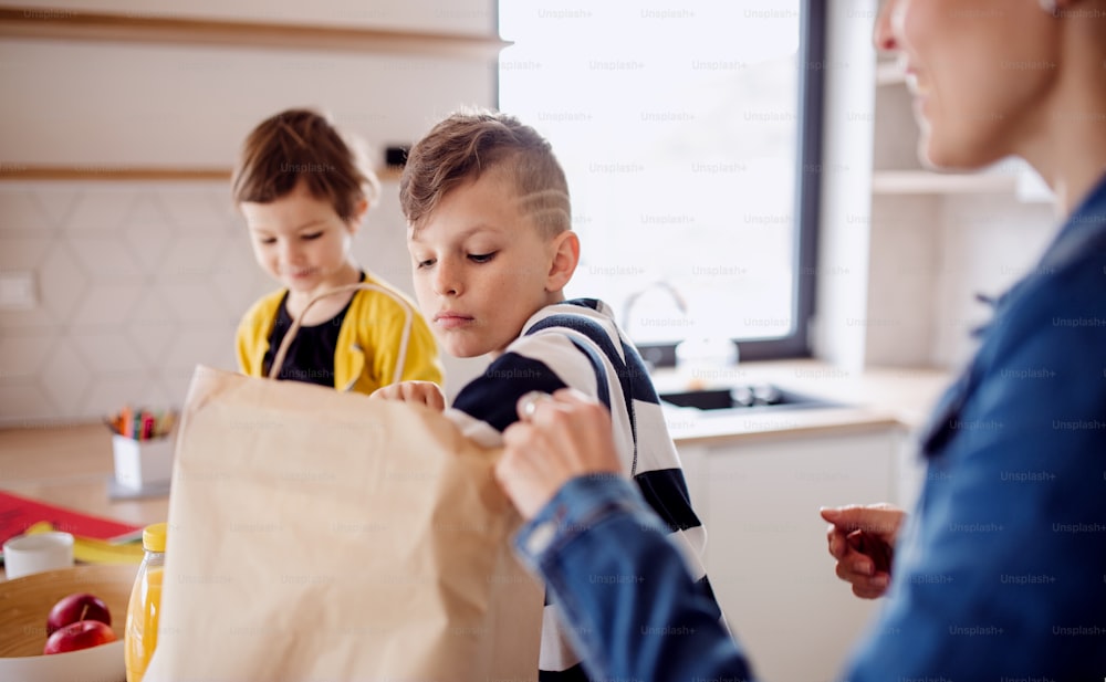 A happy young woman with two children unpacking shopping in a kitchen, midsection.