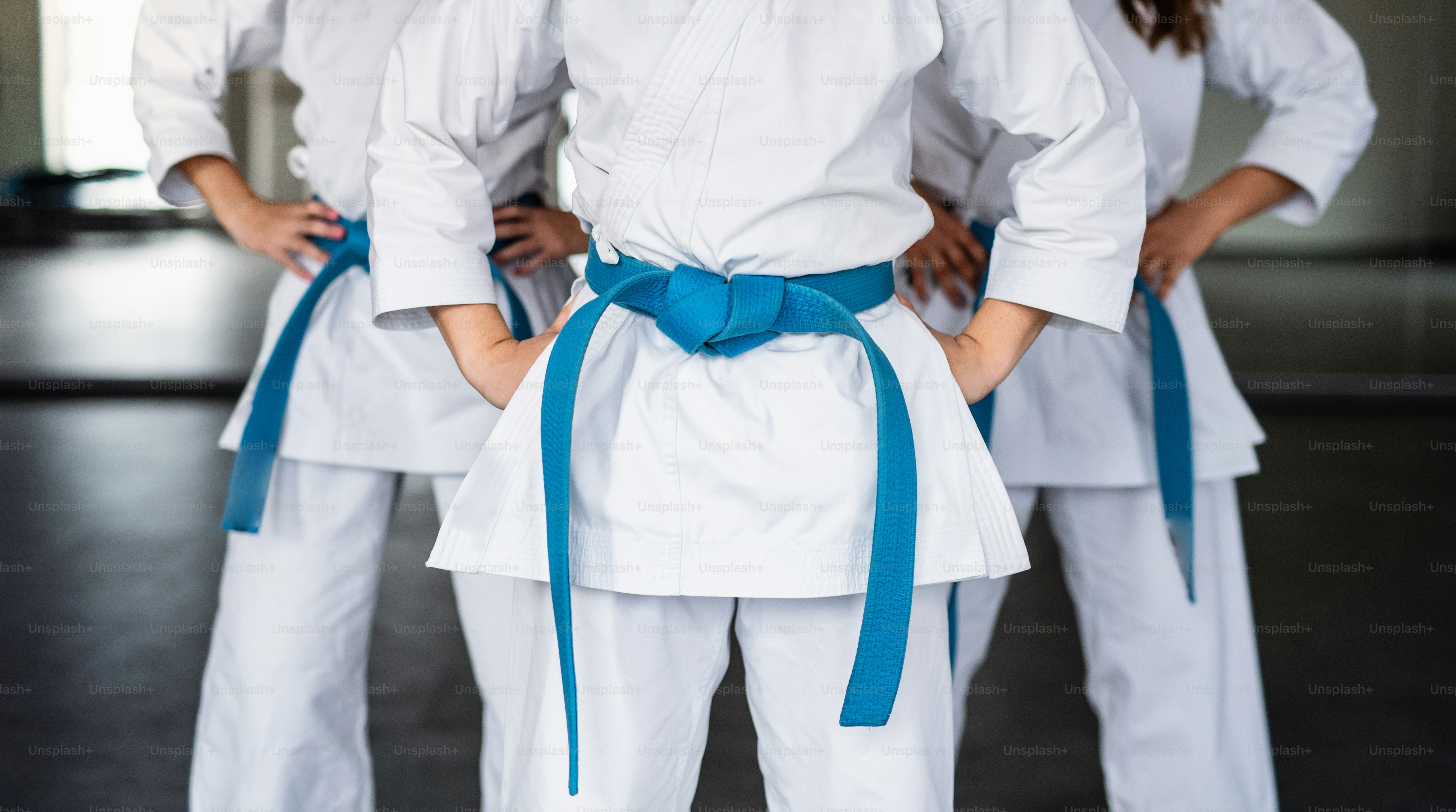 Un gruppo di giovani donne di karate in piedi al chiuso in palestra, sezione centrale.