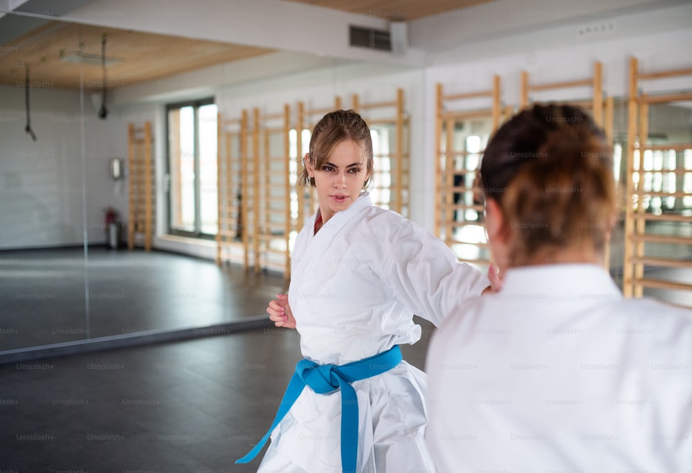 Two young women practising karate indoors in gym.