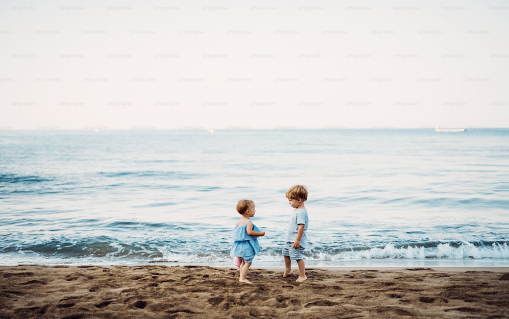 Duas crianças pequenas brincando na praia de areia nas férias de verão em família.