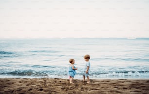 Duas crianças pequenas brincando na praia de areia nas férias de verão em família.