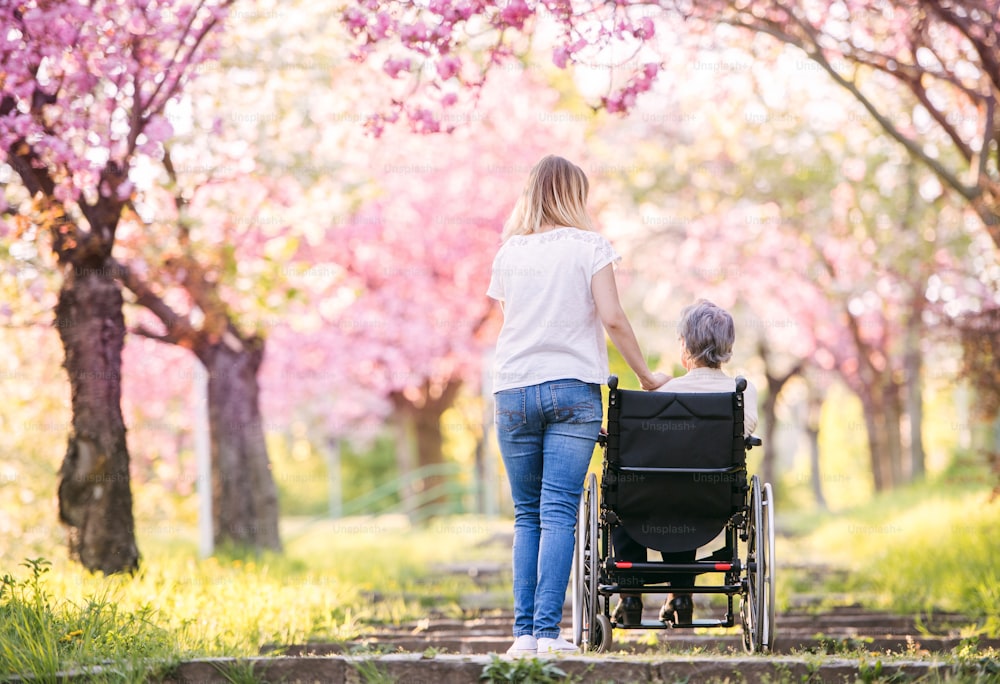 Grand-mère âgée en fauteuil roulant avec une petite-fille adulte à l’extérieur dans la nature printanière. Vue arrière.