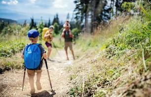 Rear view of small boy with family hiking outdoors in summer nature. Copy space.