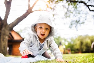Cute baby boy on the grass in the garden. Toddler playing in nature.