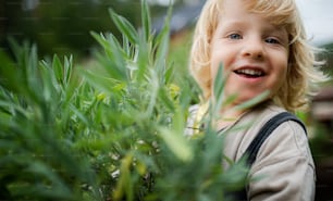 Close-up portrait of small boy standing outdoors in garden, sustainable lifestyle concept.